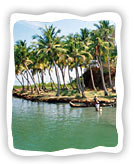 Kerala Boat