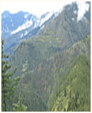 Himalayan Safari